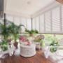 This balcony’s stunning transformation is completed with our versatile Aluminum Shutters that block the harsh sunlight without making the room dark. Who wouldn’t want to sit back and enjoy a quiet afternoon on this beautiful balcony? #BudgetBlindsNewWestminsterSurrey #AluminumShutters #ExteriorS This balcony’s stunning transformation is completed with our versatile Aluminum Shutters that block the harsh sunlight without making the room dark. Who wouldn’t want to sit back and enjoy a quiet afternoon on this beautiful balcony? #BudgetBlindsNewWestminsterSurrey #AluminumShutters #ExteriorS