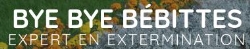 BYE BYE BÉBITTES