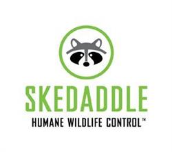 Skedaddle Humane Wildlife Control Kitchener/Waterloo