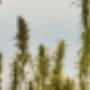 Chargé par visiteur le 2018-09-19 Chargé par visiteur le 2018-09-19
