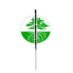 Clinique d'Acupuncture Synergie