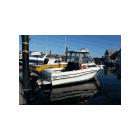 Coastal Elements Charters