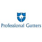 Professional Gutters