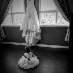 AMPAC Photography