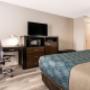 Spacious guest room Spacious guest room