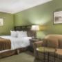 Spacious guest room Spacious guest room