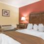 Guest room with one bed Guest room with one bed