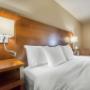 Guest room with king bed Guest room with king bed