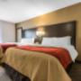 Guest room with queen bed(s) Guest room with queen bed(s)