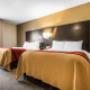 Guest room with double bed(s) Guest room with double bed(s)