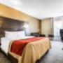 Guest room with queen bed(s) Guest room with queen bed(s)