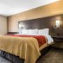 Guest room with king bed(s) Guest room with king bed(s)