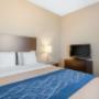 Family suite Family suite