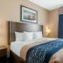 King suite King suite