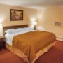 Guest room with king bed Guest room with king bed
