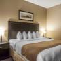 Spacious guest room Spacious guest room