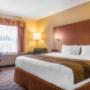 Guest room with king bed(s) Guest room with king bed(s)