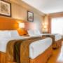Guest room with queen bed(s) Guest room with queen bed(s)