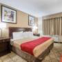Guest room with king bed Guest room with king bed