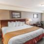 Guest room with king bed Guest room with king bed