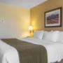 Guest room with king bed(s) Guest room with king bed(s)