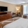 Guest room with queen bed(s) Guest room with queen bed(s)