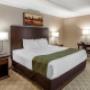 Guest room with king bed(s) Guest room with king bed(s)