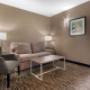 Suite Suite
