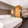 King suite King suite