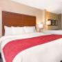 King suite King suite