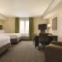 Studio Suite-2 Queen Beds Studio Suite-2 Queen Beds