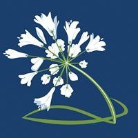 Ombelle Fleuriste
