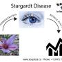 Stargardt-Disease Stargardt-Disease