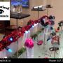 designer glass designer glass