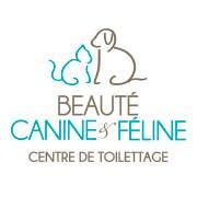 Beauté Canine Et Feline