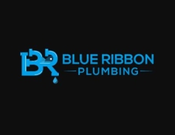 Blue Ribbon Plumbing
