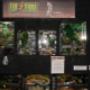 Photo Photo