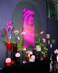 Lavender and Lilacs Florist Vancouver