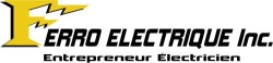 FERRO ELECTRIQUE