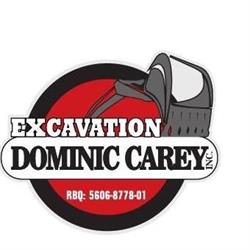 Excavation Dominic Carey
