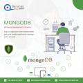 Mongodb development