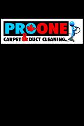 PRO-ONE CARPET & DUCT CLEANING