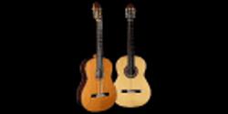 Scott David Guitar Instructor