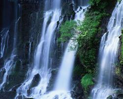 Living Water Counselling Centre