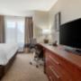King suite King suite