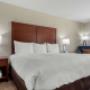 Guest room with king bed(s) Guest room with king bed(s)