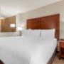 King suite King suite