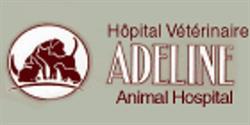 Adeline Animal Hospital