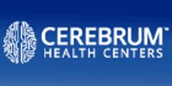 Cerebrum