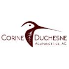 Acupuncture Corine Duchesne